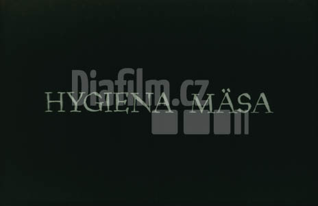 Hygiena masa