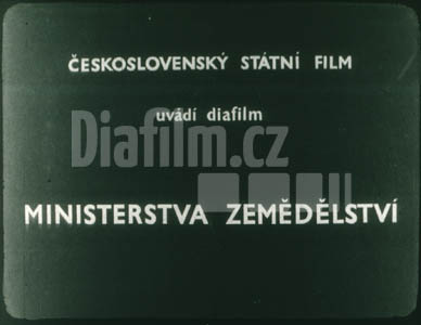 Luskoviny