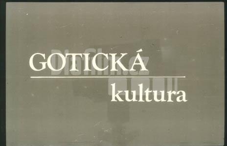 Gotická kultura