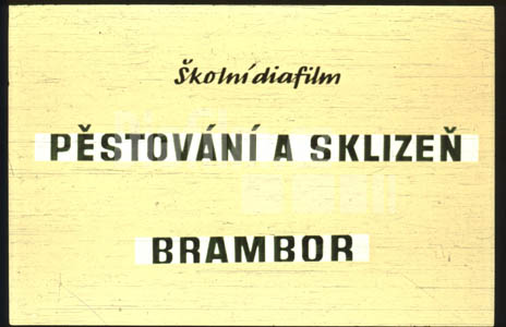 Pěstování a sklizeň brambor