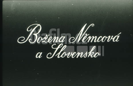 Němcová Božena a Slovensko