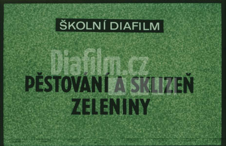 Pěstování a sklizeň zeleniny