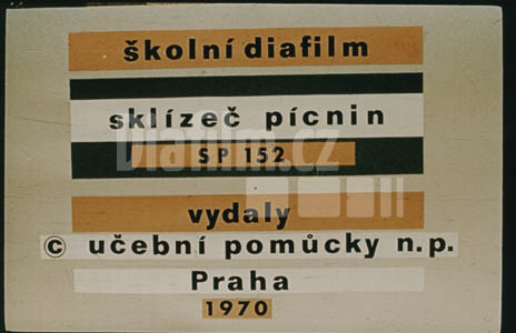 Sklízeč pícnin SP 152 (L52)