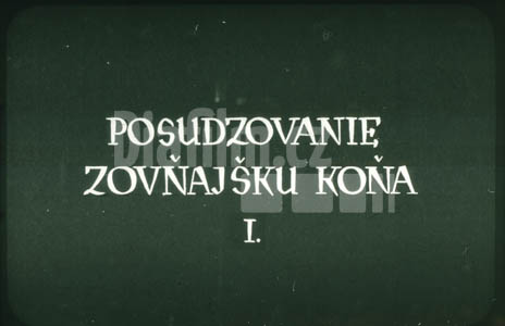 Posuzování zevnějšku koně I.