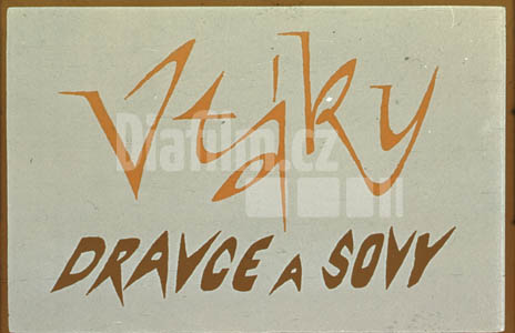 Ptáci - dravci a sovy