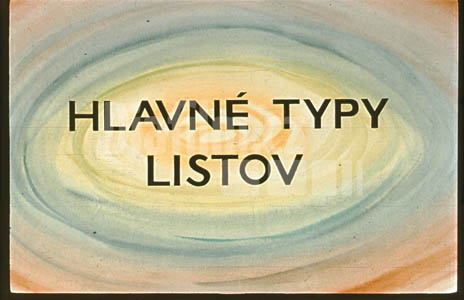 Hlavní typy listů