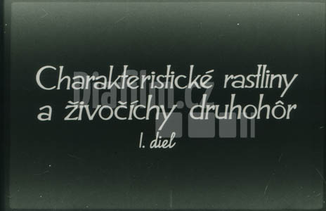 Charakteristické rostliny a živočichové druhohor I.