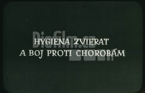 Hygiena zvířat a boj proti chorobám