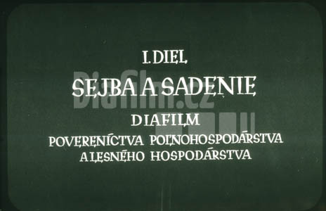 Setí a sázení I.