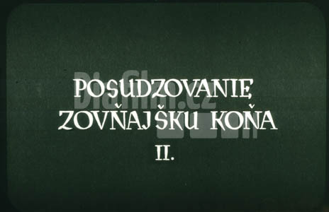 Posuzování zevnějšku koně II.