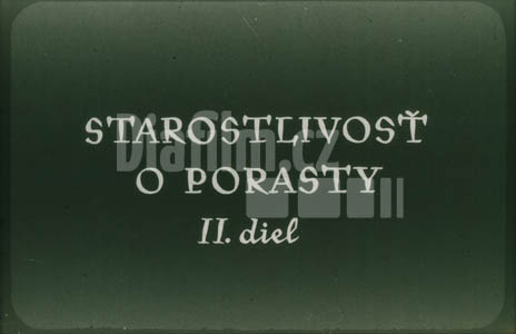 Péče o výsadby II.