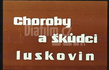Choroby a škůdci luskovin