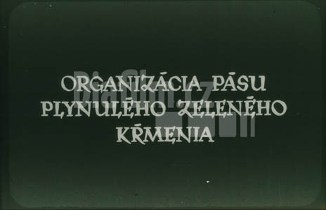Organizace pásu plynulého zeleného krmení