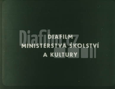 Komety