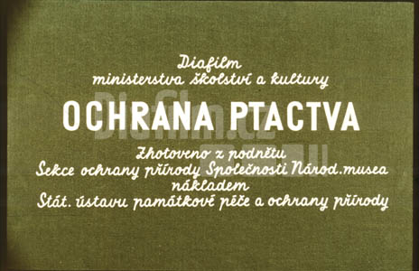 Ochrana ptactva
