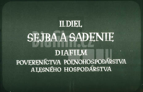 Setí a sázení II.
