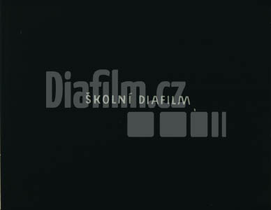 Mikoláš Aleš I. (děti)
