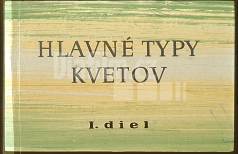 Hlavní typy květů I.