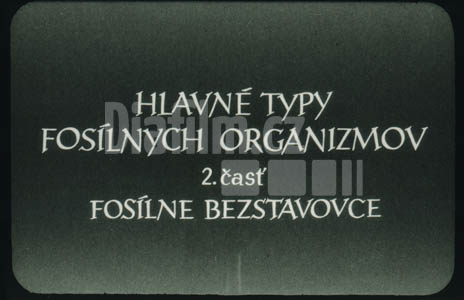 Hlavní typy fosilních organizmů II. Fosilní bezobratlí