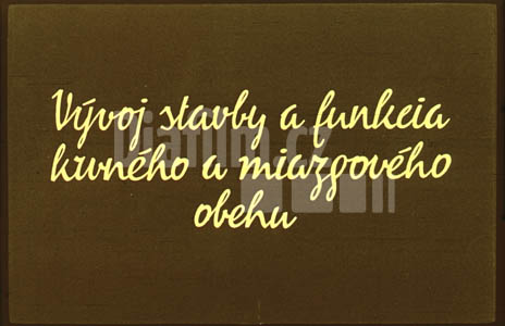 Vývoj stavby a funkce krevního a mízního oběhu