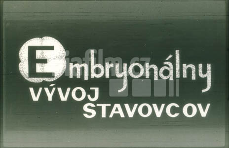 Embryonální vývoj obratlovců