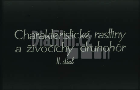 Charakteristické rostliny a živočichové druhohor II.