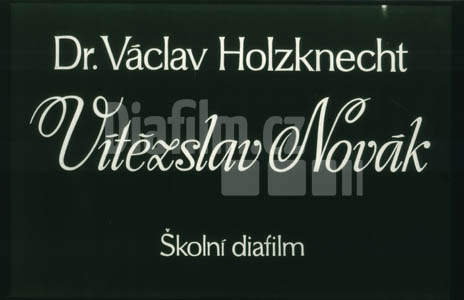 Novák Vítězslav