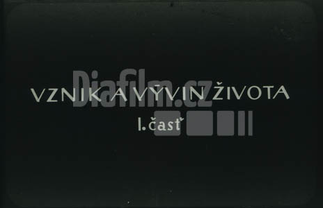 Vznik a vývoj života I.