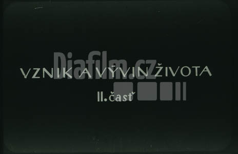 Vznik a vývoj života II.