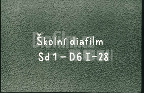 Dějepis 6/D28 – Řím – materiální kultura Římanů