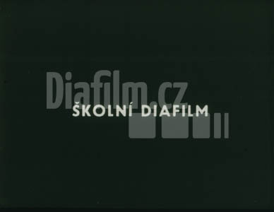 Zvláštní tělesná výchova II.díl