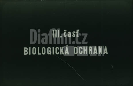 Ochrana ovocných stromů III. Biologická