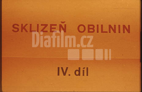 Sklizeň obilnin 4.