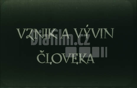 Vznik a vývoj člověka