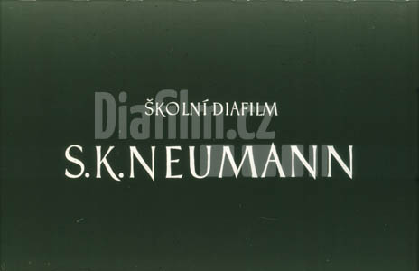 Neumann Stanislav Kostka