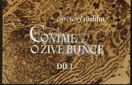 Co víme o živé buňce I