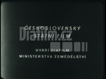 Organizací krmivové základny ke zvýšení živočišné výroby