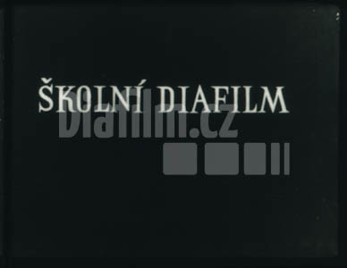 V lidové knihovně