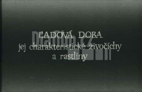 Ledová doba - její charakterističtí živočichové a rostliny