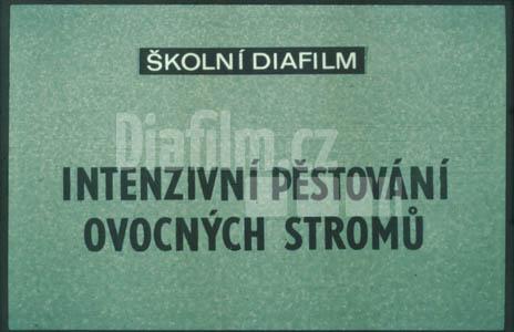 Intenzivní pěstování ovocných stromů