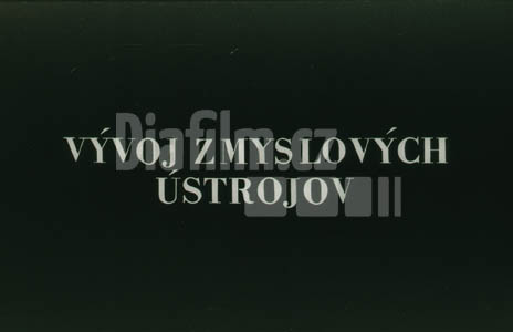 Vývoj smyslových ústrojí