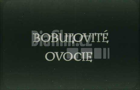 Bobulovité ovoce I. Pěstování rybízu
