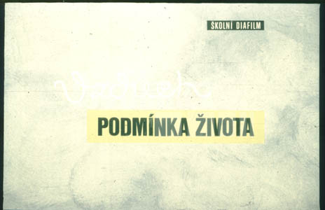 Vzduch - podmínka života