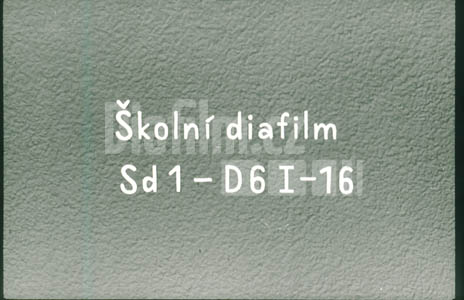 Dějepis 6/D16 – Řecko - Rozkvět Řecka