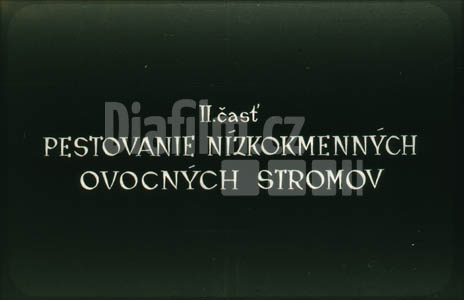 Základy ovocnářství II. pěstování nízkokmenných ovocných stromů