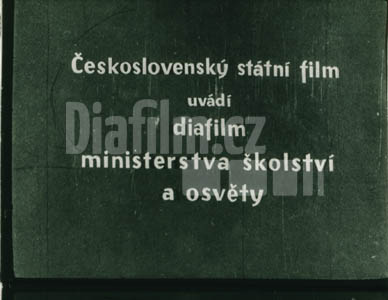 Neviditelný život