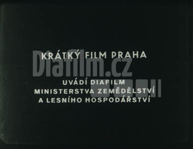 Štěpování a zmlazování ovocných stromů II.díl