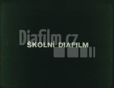 Koloběh dusíku