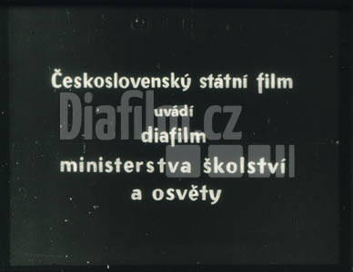 Zapomenuté stehy lidového vyšívání III. díl