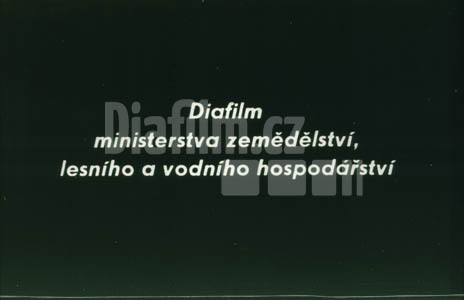 Hospodářské využití osadních zahrádek II